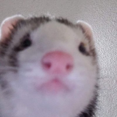 hjziin's profile picture