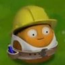 bloonz profil fotoğrafı