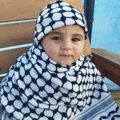 ENG_Abdallah Qasem 🇵🇸 GAZA's profile picture