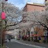 Фото профиля たるたる