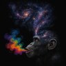 BadChimp13 的头像