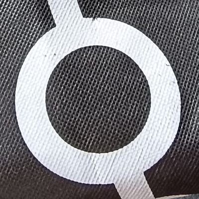 Dolores Ojeda's profile picture