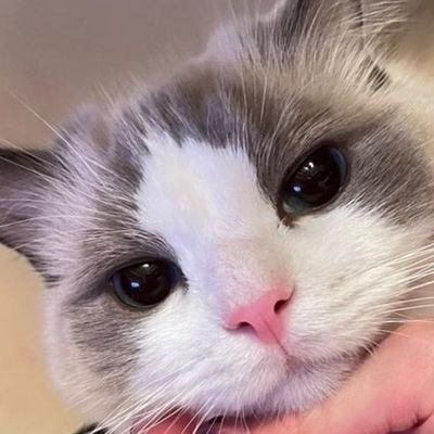 Wayama18's profile picture