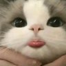 Trory_Oly 的头像
