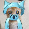 めんたいパーク's profile picture