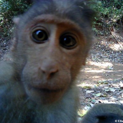 peepeepoopoo's profile picture