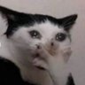 Unknown's profile picture