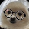 ぽんすけ大先生's profile picture