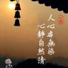 Nottgibson 的头像