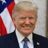 Dolaand Trump's profile picture