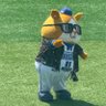 Фото профиля 望未 杏里🐸⭐️⚾️