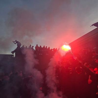 David 🇬🇧's profile picture