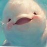 Profilbild von ๆฐๆฃฎ็่ดขๆฅ่ฎฐ