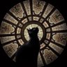 Profilbild von !