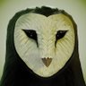Ludvigo's profile picture