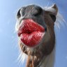 andrae's profile picture