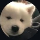 sweetyby's profile picture