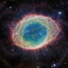 Nebula Haber's profile picture