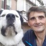 Артур Гомер profil fotoğrafı