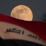 عَلْيّ 🇮🇶's profile picture