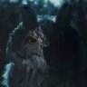Фото профиля Gael