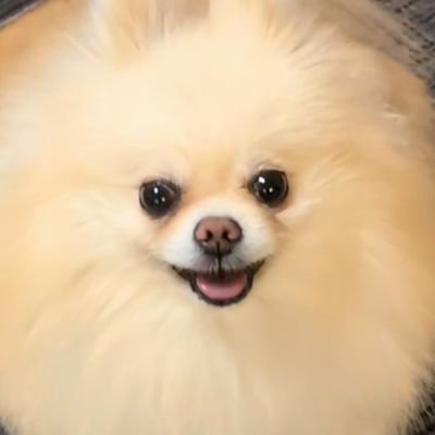 この太's profile picture