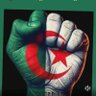 fateh nouar profil fotoğrafı