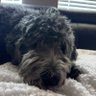Steph's profile picture