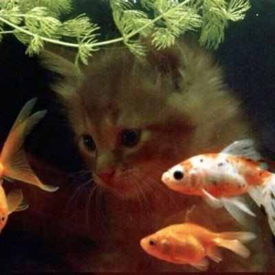 lucas ꩜'s profile picture