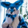Vex Husky ็ๅคดๅ