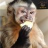 Profilbild von Luiz Moreno Vergulio