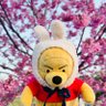 みもざ's profile picture