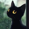 14K's profile picture