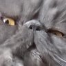Nothing is real.'s profile picture