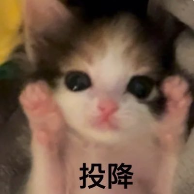 四滴泪's profile picture