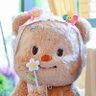 Profilbild von Wawa 🧸