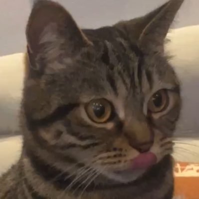250wuzi's profile picture