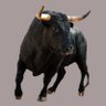 Profilbild von BullNuttPullah