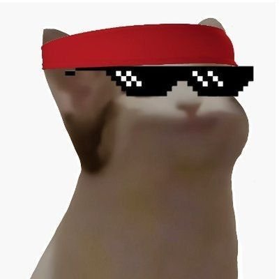Popping Kitty's profile picture