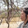 Lu 的头像