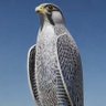 Al-Furaidi 🦅 的头像