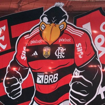 𝔽𝕃𝔸 ℙ𝔸𝕀𝕏𝔸̃𝕆 ¹⁸⁹⁵'s profile picture