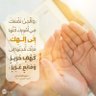 قاهر الكفار والمنافقين 的头像