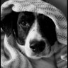 Profilbild von kellygreeneyesboston