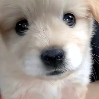 영워니's profile picture