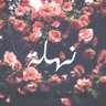 نهله 的头像