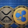 XRP SEMPRE, MAS GOSTO DE INFORMACOES. 的头像