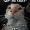 suhh dude profil fotoğrafı