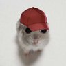 Profilbild von kweer
