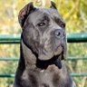 URIFAKE profil fotoğrafı